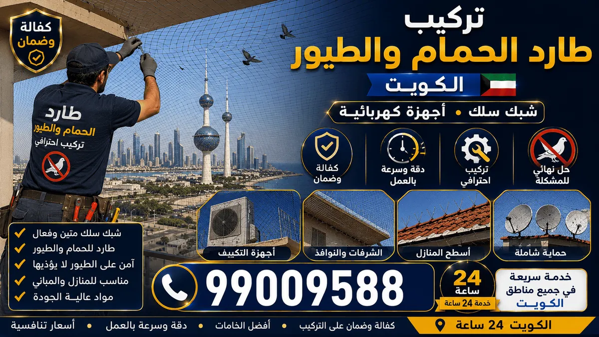 تركيب مسامير طرد الطيور على حافة واجهة مبنى لمنع الوقوف دون إيذاء