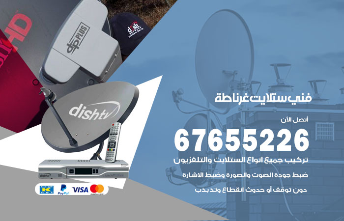 فني ستلايت غرناطة